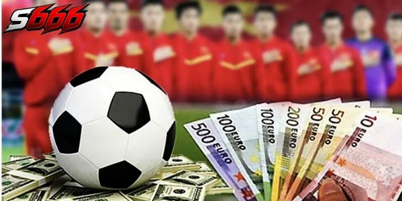 Người mới thường bị hấp dẫn bởi hàng loạt tỷ lệ