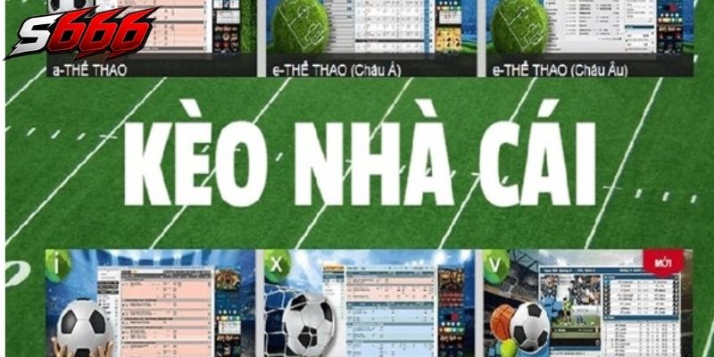 Kèo nhà cái chịu ảnh hưởng trực tiếp từ lượng tiền đổ vào